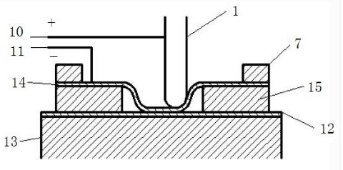 Forming method and forming device of a double-layer plate structure