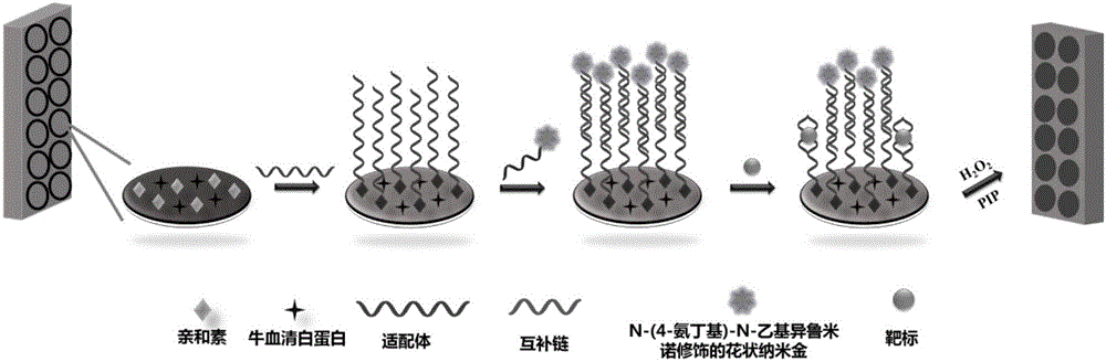 Method for simultaneously detecting oxytetracycline, tetracycline and kanamycin based on ABEI modified flower-shaped nanogold