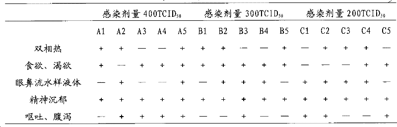 I-type canine adenovirus attenuated vaccine strain and application thereof