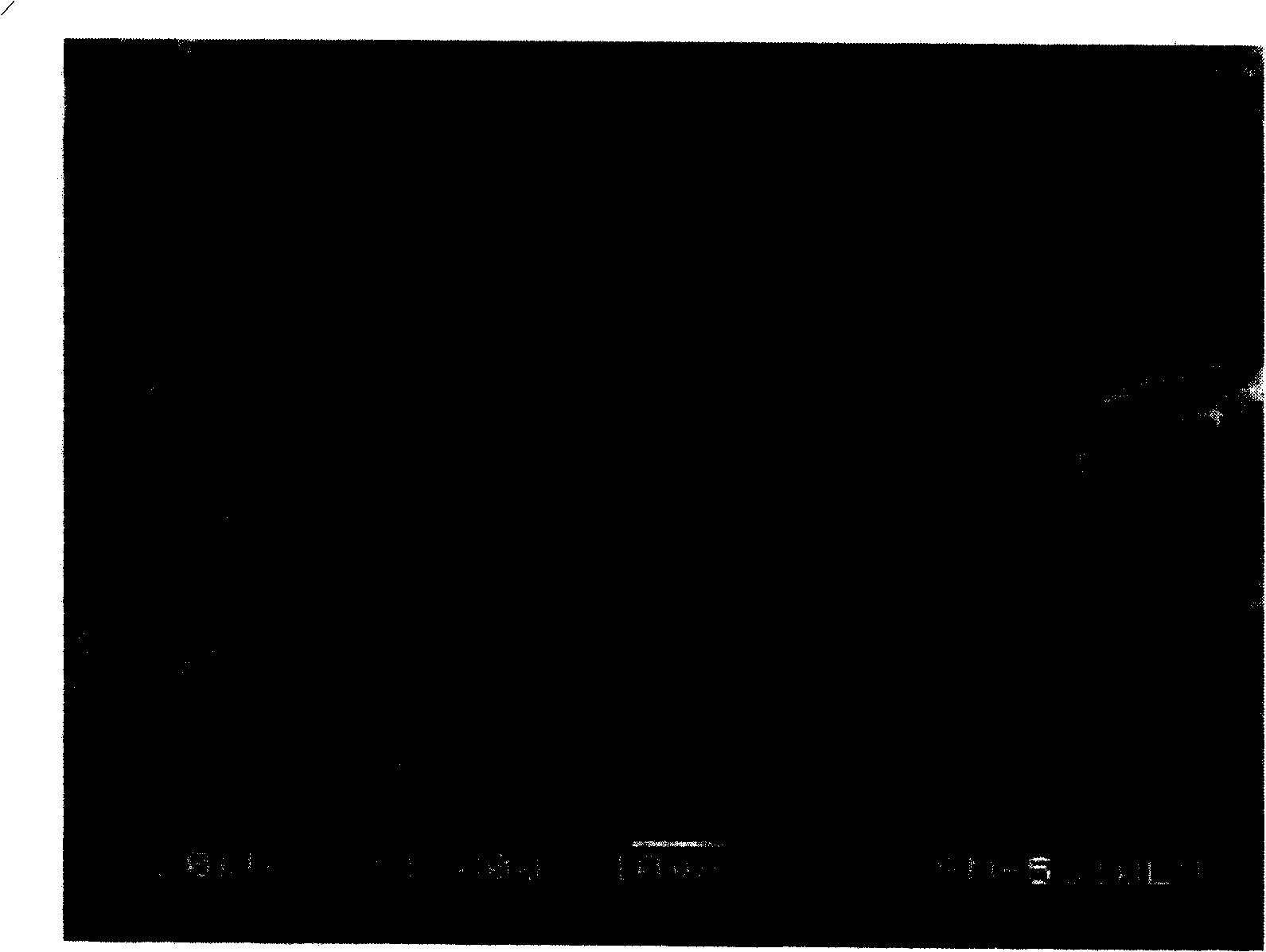 Silicon-containing composite material and its preparation method and application