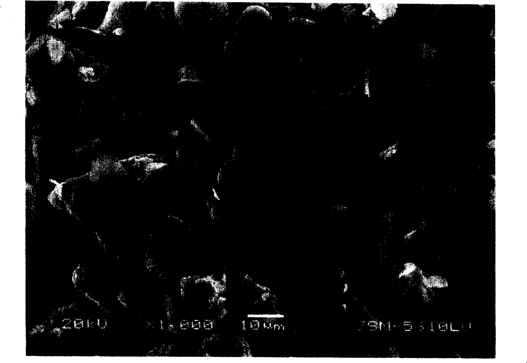 Silicon-containing composite material and its preparation method and application