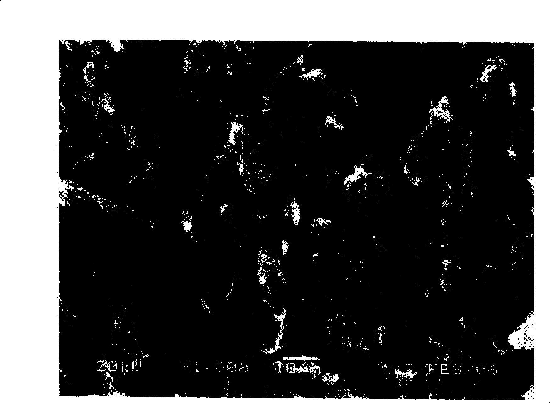 Silicon-containing composite material and its preparation method and application