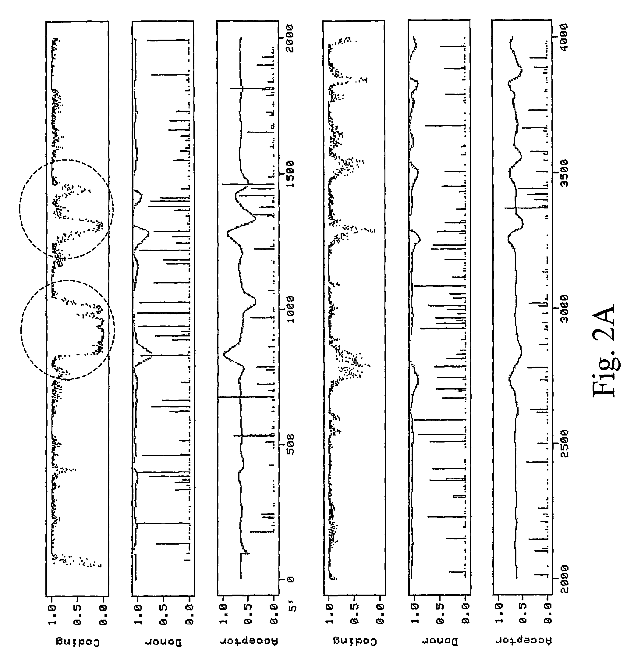 RNA virus-derived plant expression system