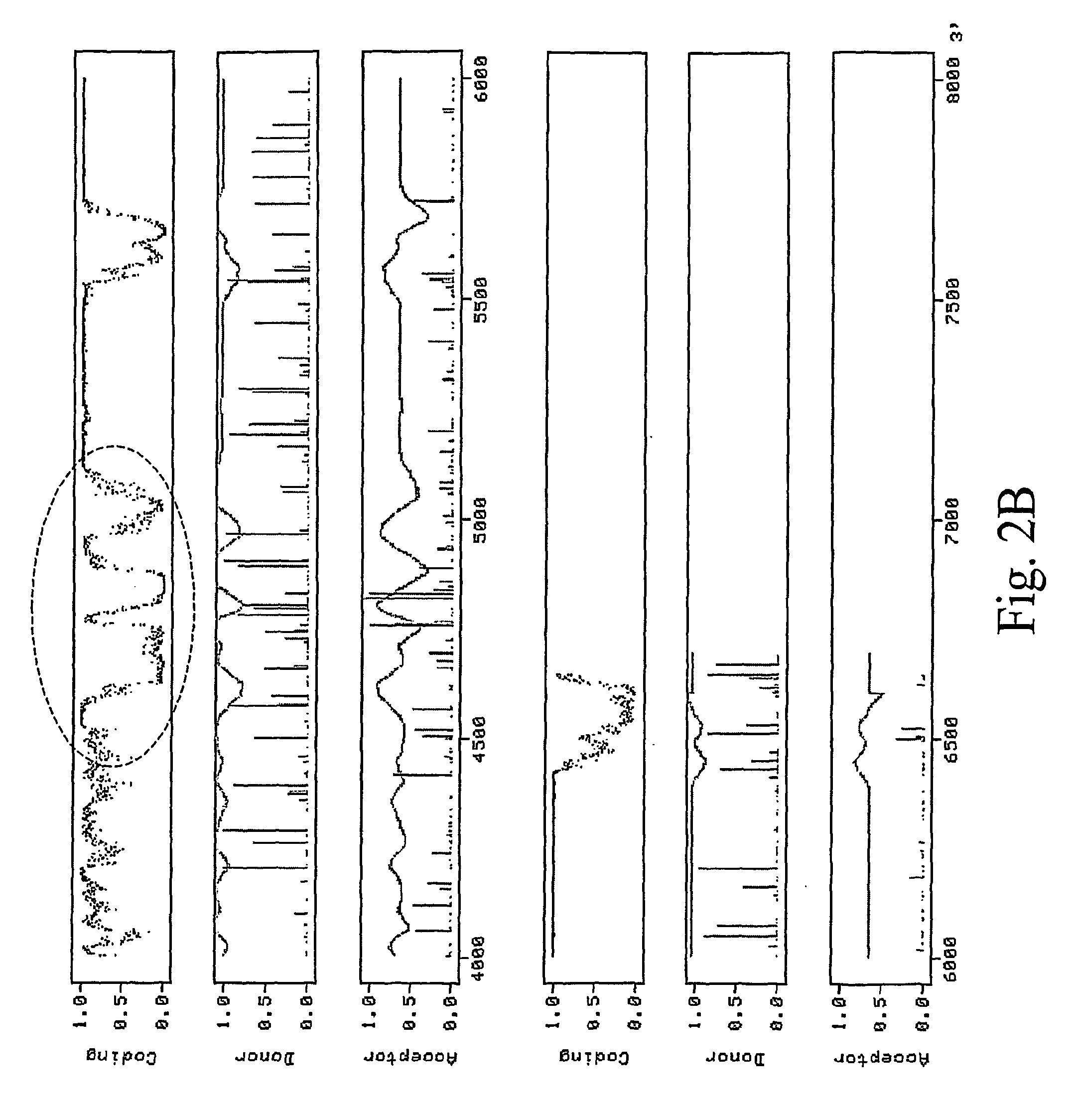 RNA virus-derived plant expression system