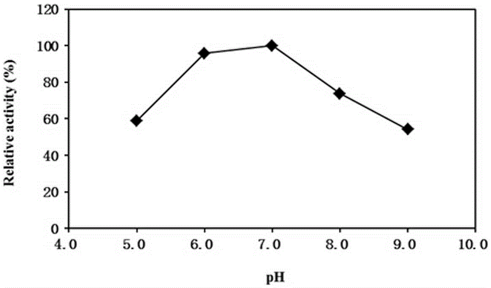 Water type NADH oxidase of reproducible coenzyme NAD+ and encoding gene and application thereof