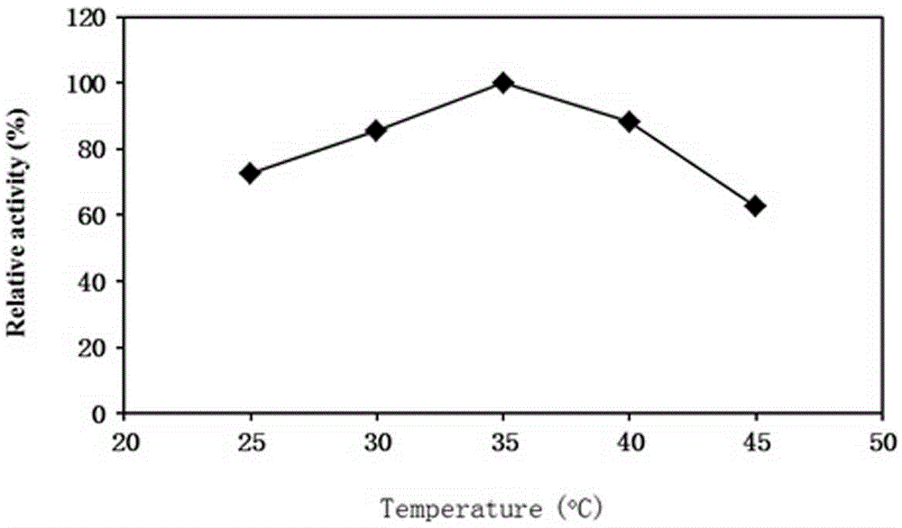 Water type NADH oxidase of reproducible coenzyme NAD+ and encoding gene and application thereof