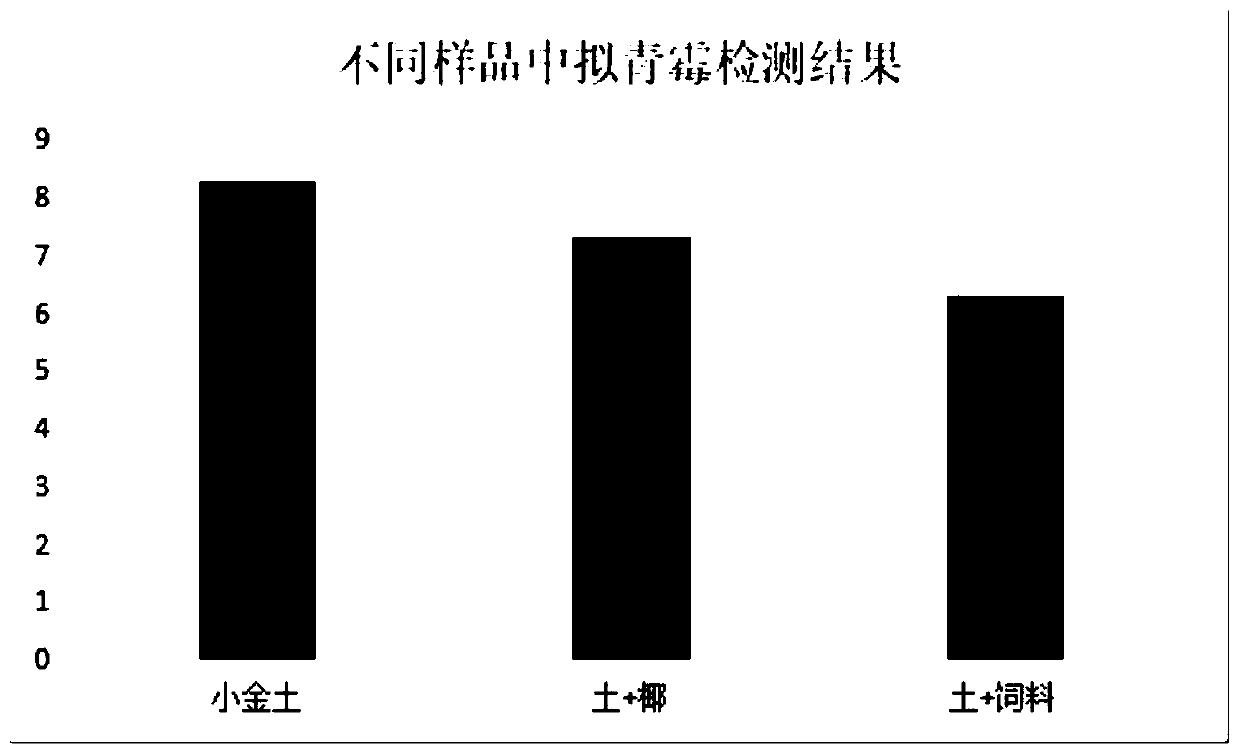 Primer and probe for fluorescent quantitative PCR detection of paecilomyces farinosus