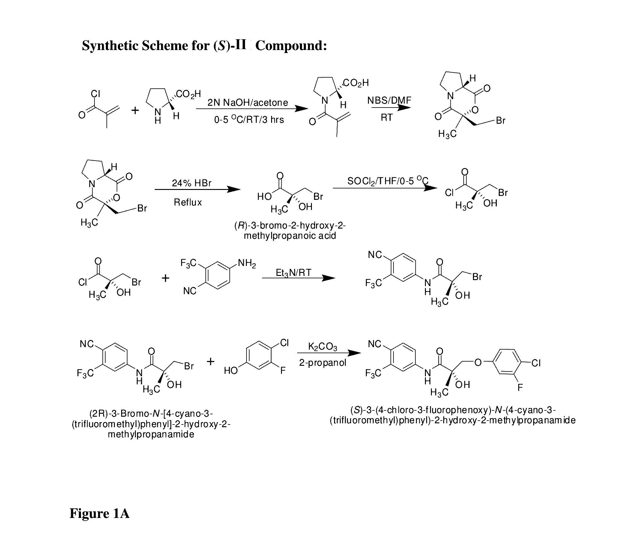 Sarms and method of use thereof