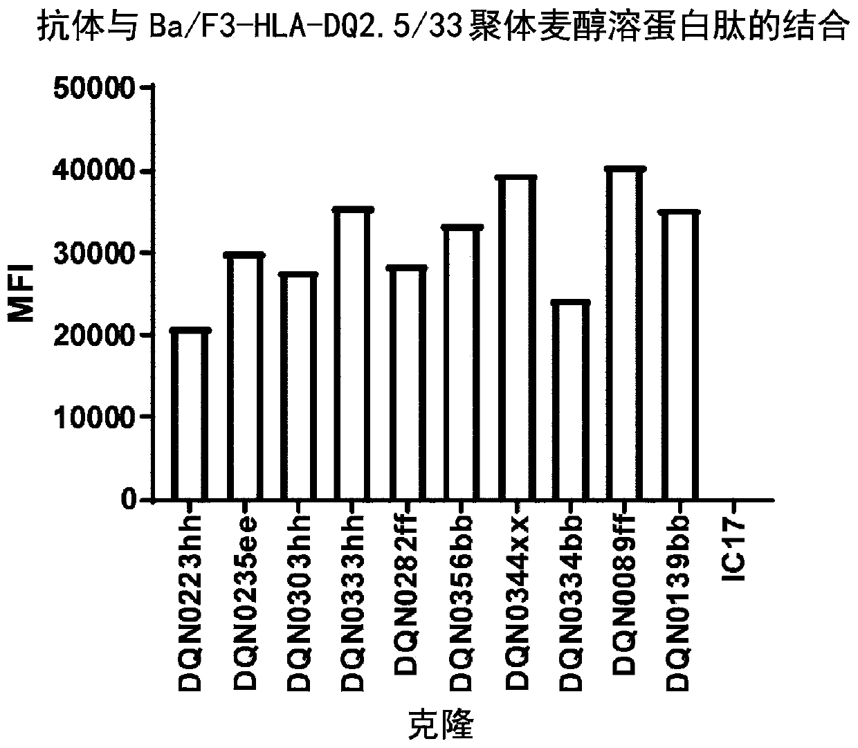 Anti-hla-dq2.5 antibody