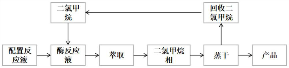 Lactamase, application of lactamase and method for preparing (1R,4S)-gamma-lactam through enzymatic resolution