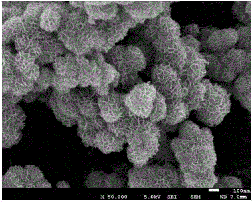 MoS2 nanosphere difunctional oxygen catalyst of hierarchy structure and preparation method and application thereof