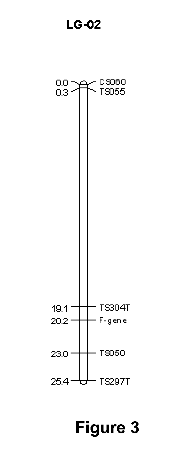 Sorghum fertility restorer genotypes and methods of marker-assisted selection