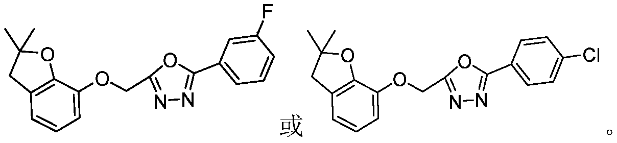 Benzofuranol-based oxadiazole derivative and preparation method and application thereof