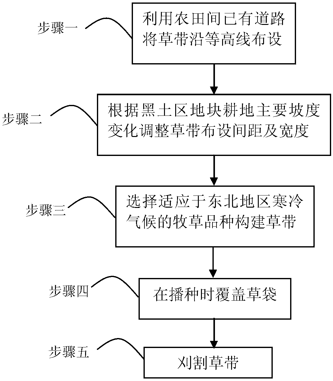 Method of controlling agricultural non-point source pollution of black-soil water source regions of northeast China by grass belts