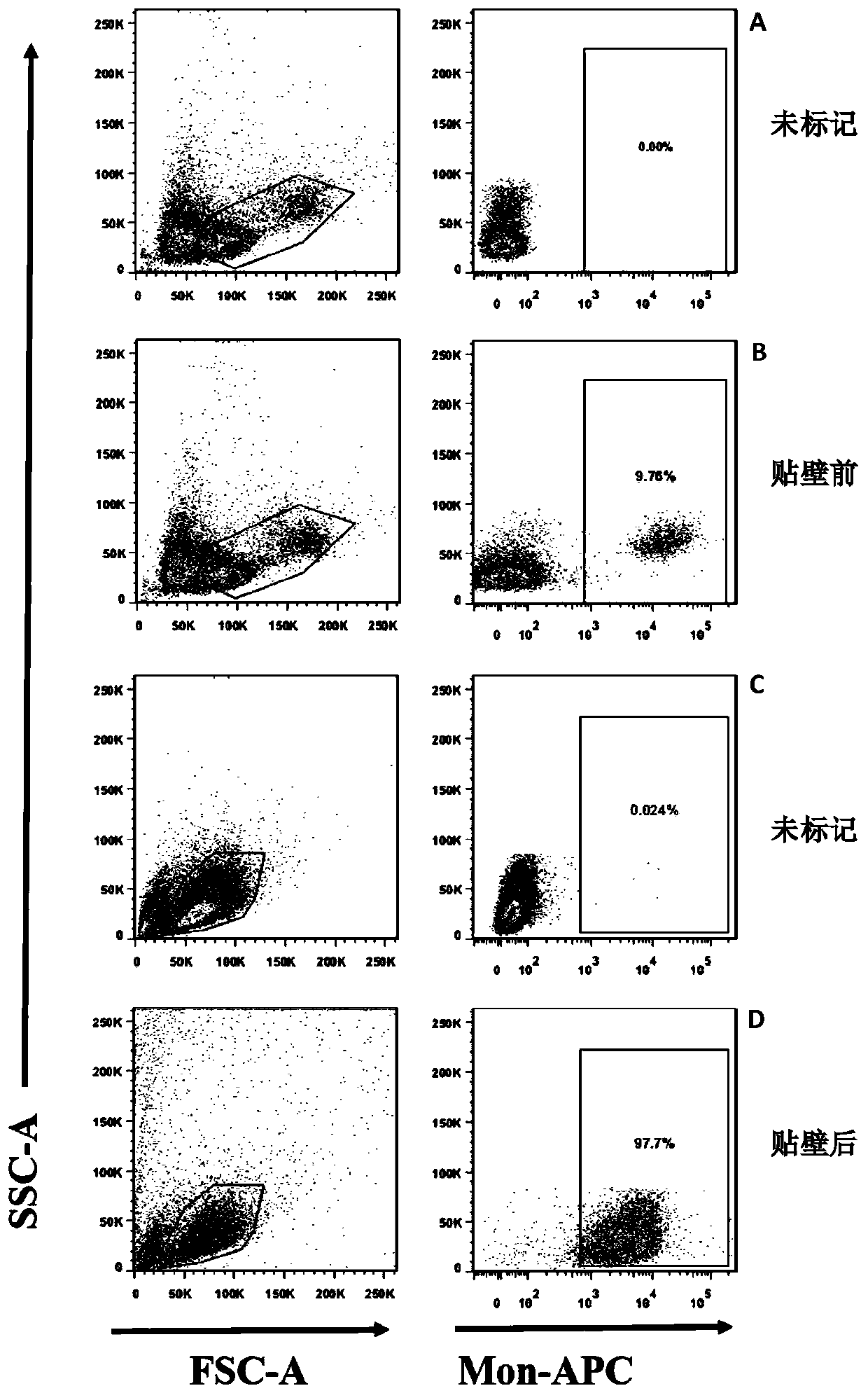 Method of detecting specific killing effects of chicken spleen CD8&lt;+&gt;T cells based on flow cytometry