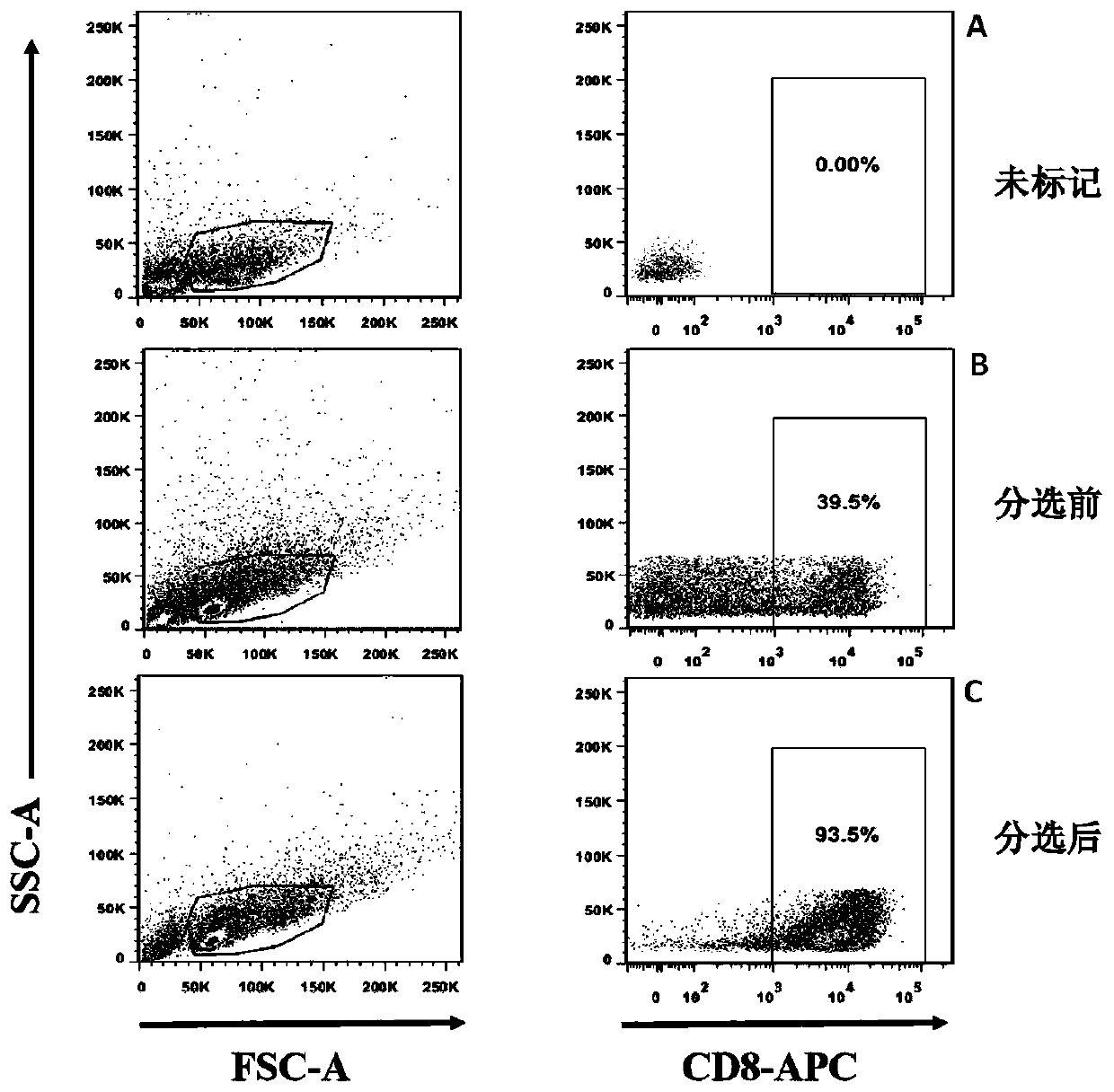 Method of detecting specific killing effects of chicken spleen CD8&lt;+&gt;T cells based on flow cytometry