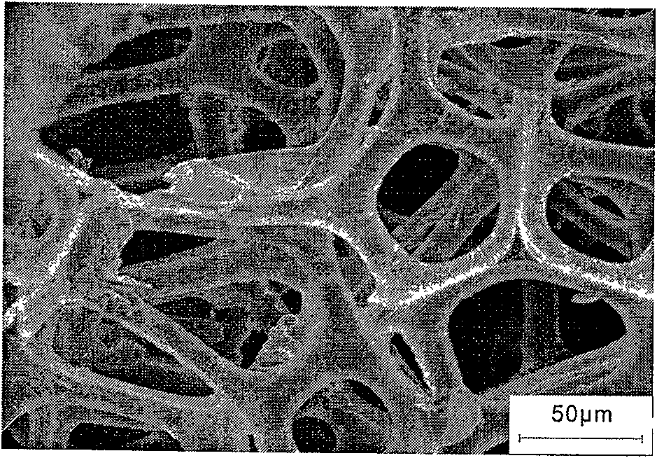 Electromagnetic shielding macromolecule composite material