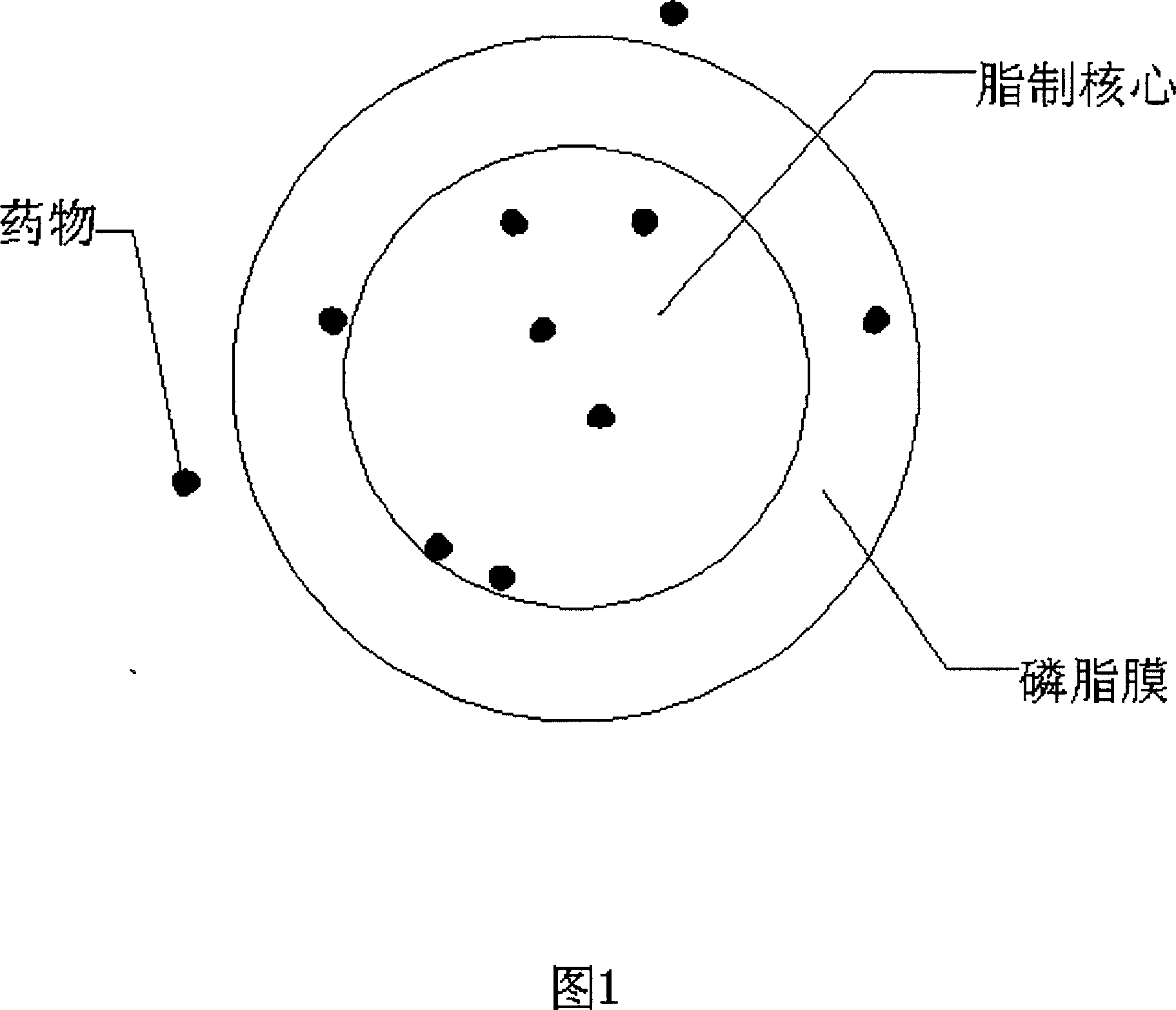 Injection containing lipoid microsphere of etoposide and its prepn process