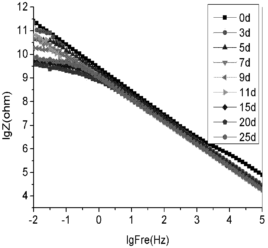 Heatproof anticorrosion coating with ion barrier ability and selectivity and preparation method thereof