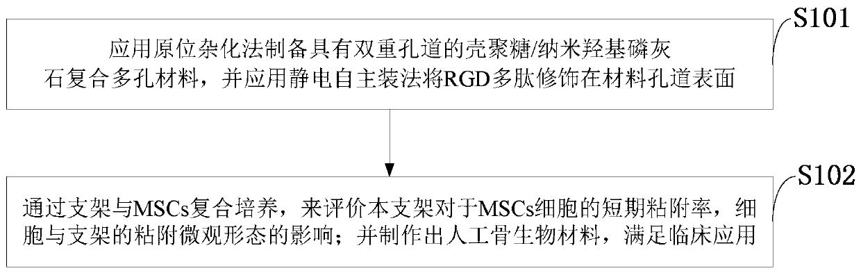 RGD polypeptide modified chitosan/hydroxyapatite composite stent and preparation method thereof