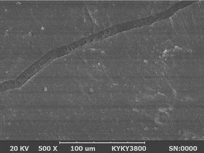 Preparation method of star-shaped polyurethane elastomer toughened polylactic acid compound