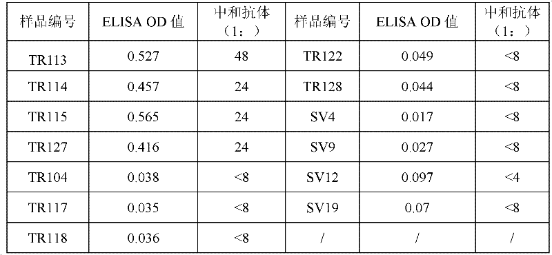 Enterovirus 71 (EV71) monoclonal antibody and application thereof