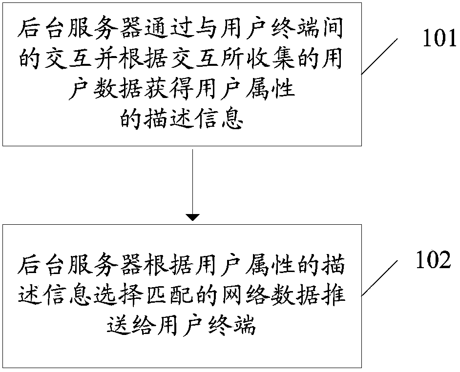 Network data pushing method, device and system