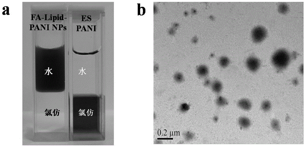 Phospholipid-polyaniline nanoparticles for photoacoustic imaging and/or photothermal therapy and preparation method