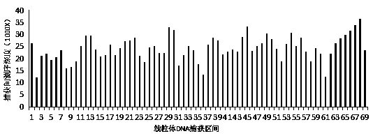 Preparation method of double-stranded DNA probe for liquid-phase hybrid capture and sequencing