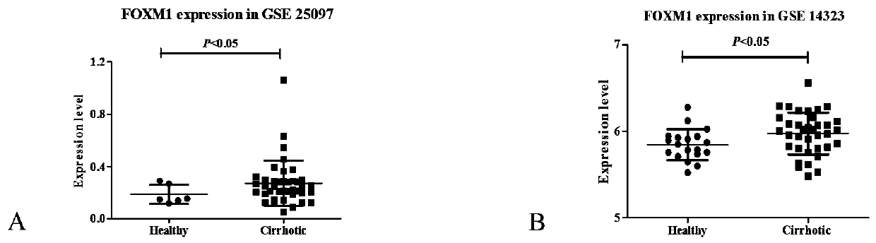 Application of FOXM1 inhibitor FDI-6 in resistance of hepatic fibrosis