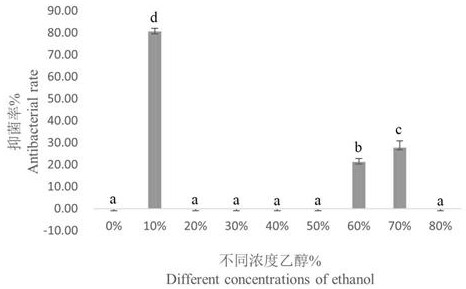 Rhodiola sachalinensis extract and application thereof