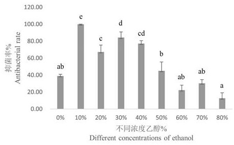 Rhodiola sachalinensis extract and application thereof