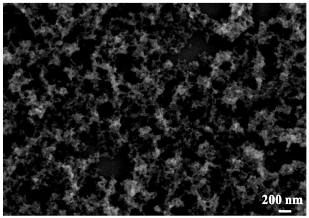 Organic dye degradation catalyst based on heterogeneous Fenton-like reaction as well as preparation and application of organic dye degradation catalyst