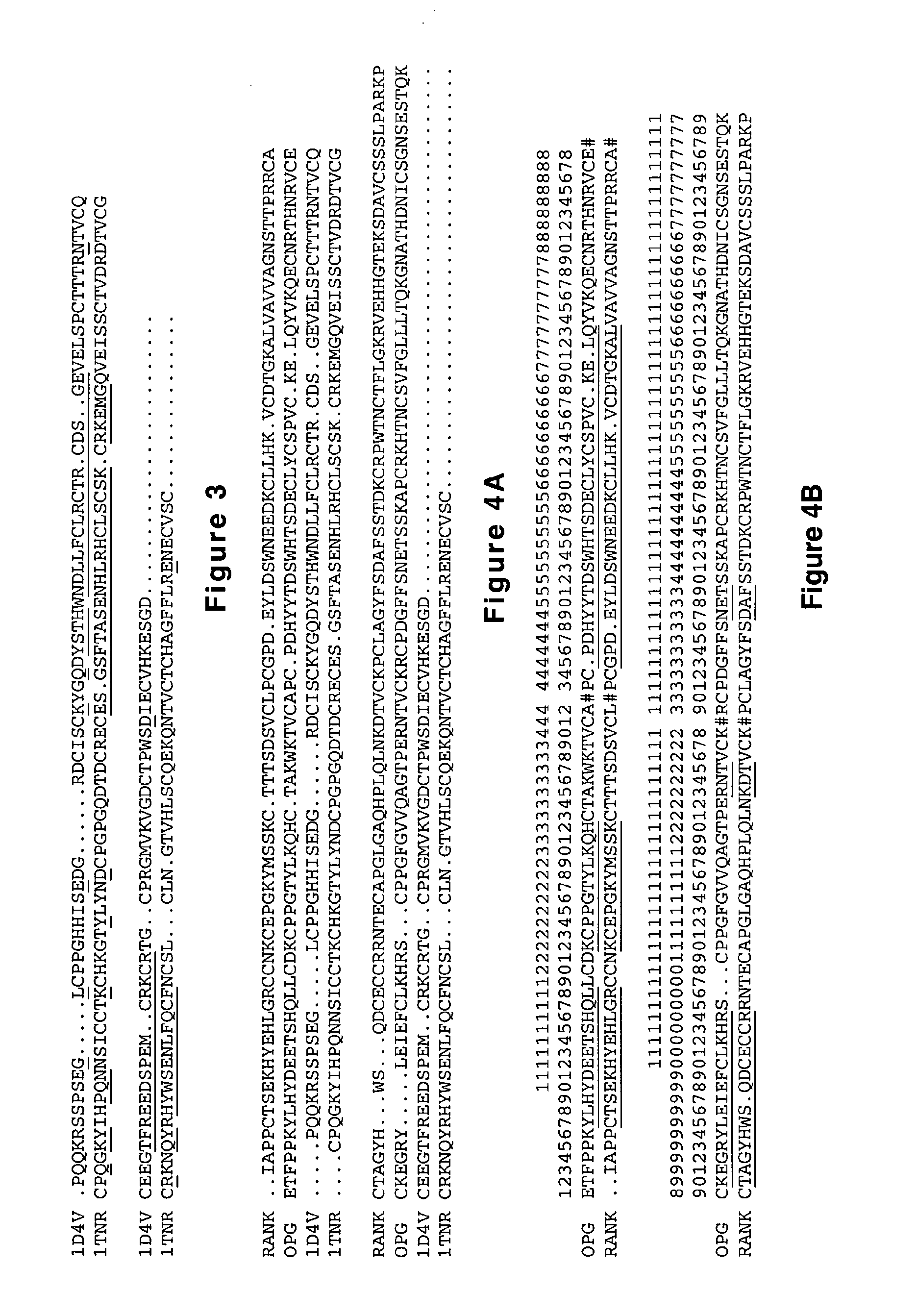 Rank ligand-binding polypeptides