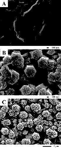 Construction and application of aptamer sensor taking nanogold/zinc oxide-graphene composite material as photoelectric sensitive element