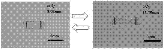 Liquid crystal elastomer driving element, preparation method thereof and application of liquid crystal elastomer