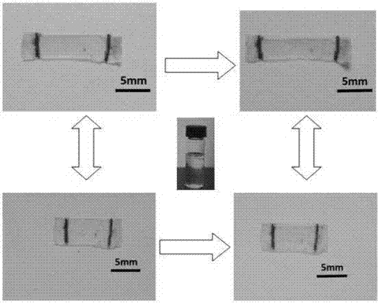 Liquid crystal elastomer driving element, preparation method thereof and application of liquid crystal elastomer