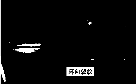 A comprehensive method for judging the failure cause of the sealing ring of the eh system of a nuclear power plant