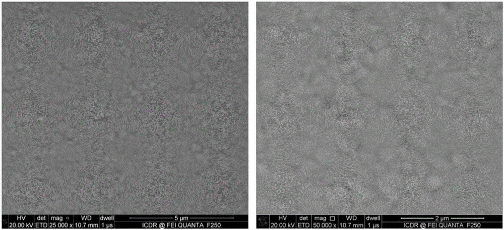 Method for in-situ preparationof oxide/metal ferromagnetic heterojunction through atomic layer deposition method