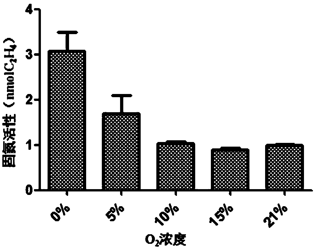 Method for enriching and separating dominant nitrogen fixing bacteria from petroleum-contaminated soil