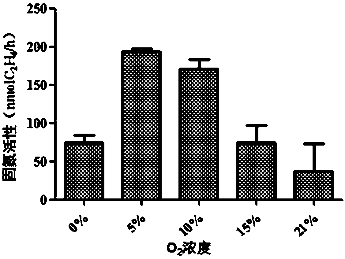 Method for enriching and separating dominant nitrogen fixing bacteria from petroleum-contaminated soil