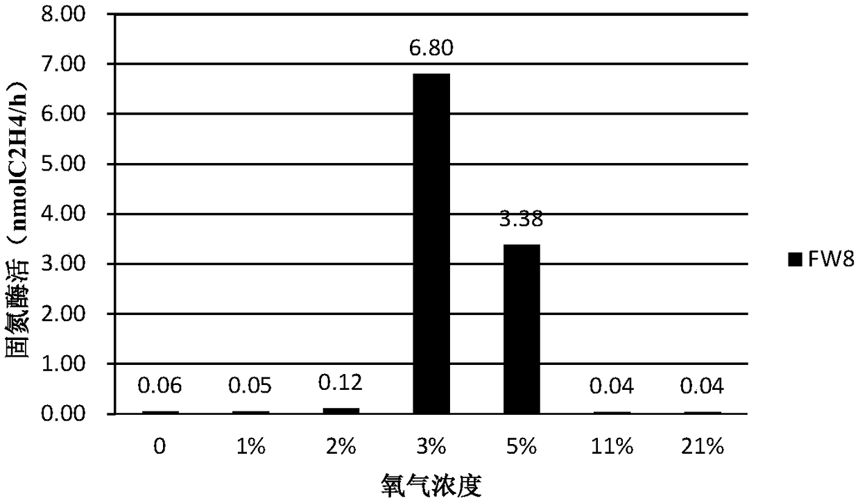 Method for enriching and separating dominant nitrogen fixing bacteria from petroleum-contaminated soil