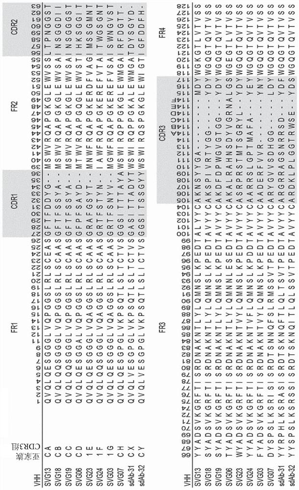 Single domain antibodies binding to tetanus neurotoxin