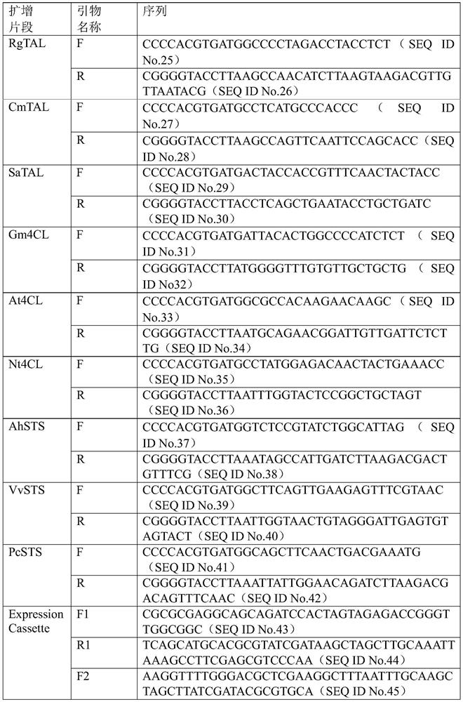 Engineering bacterium for biosynthesizing resveratrol by taking L-tyrosine as substrate, construction and application