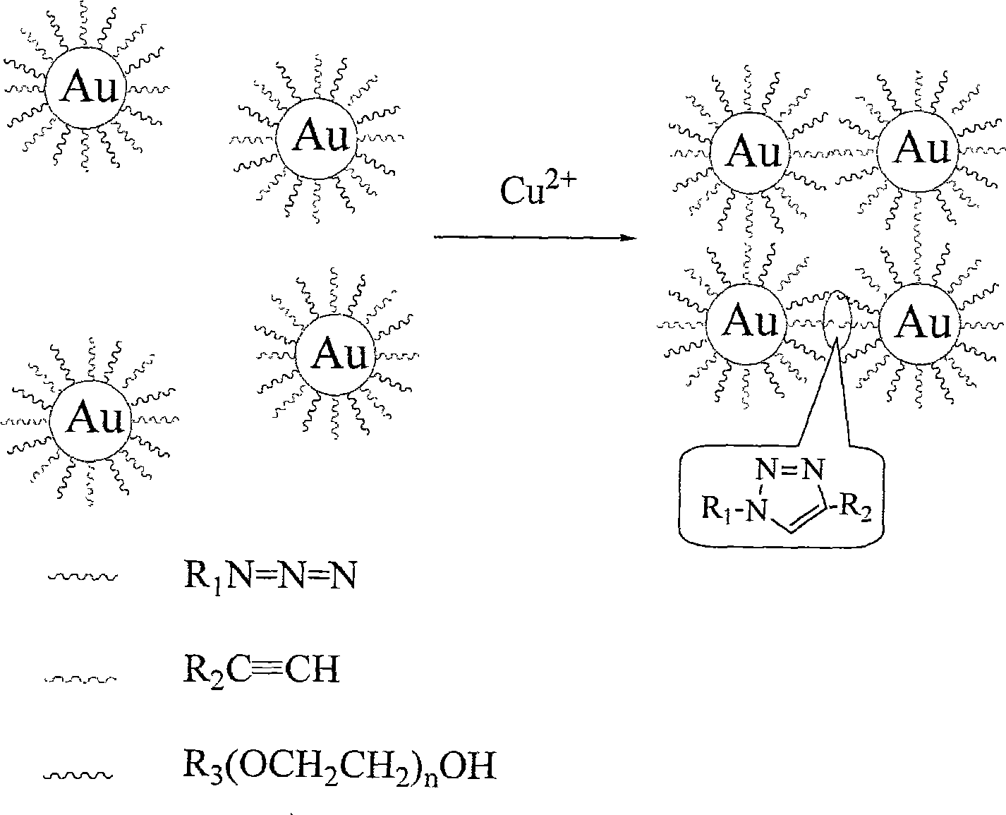 Method for qualitatively detecting CU&lt;2+&gt; in solution directly by eye