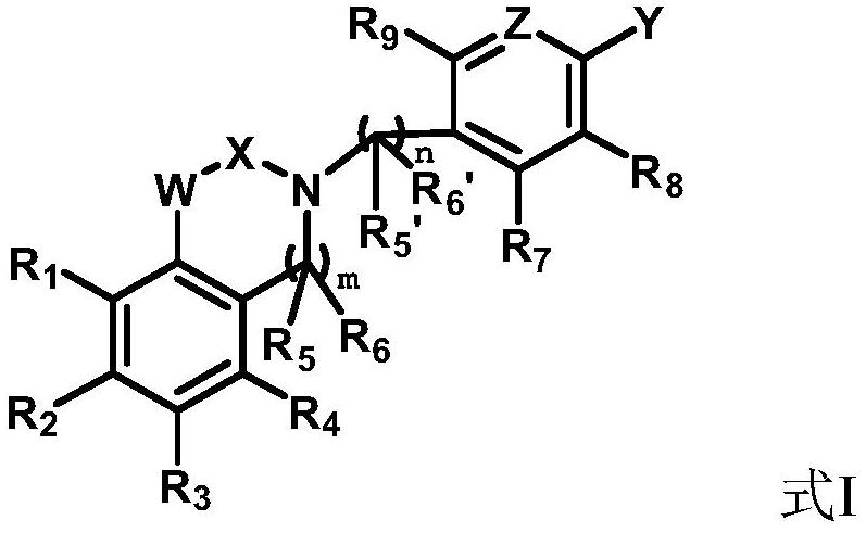 Compounds with neuroprotective effect, and preparation method and application thereof