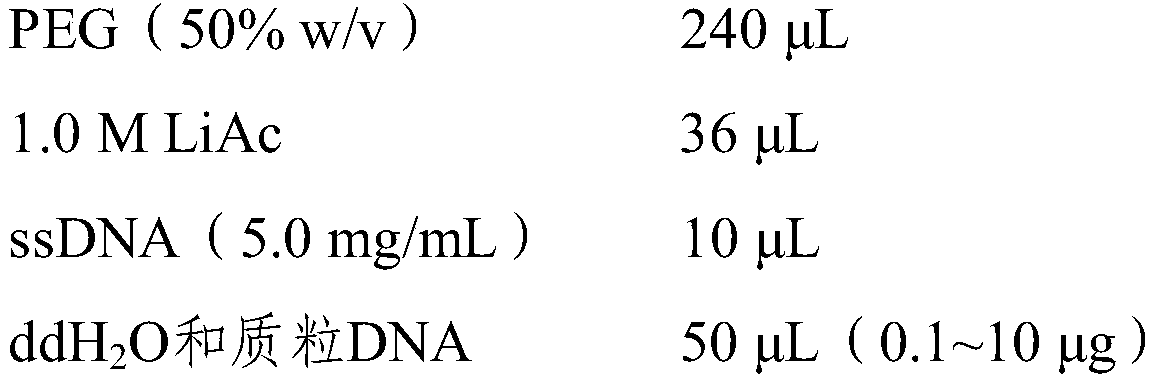 Tobacco KC1 gene and application thereof