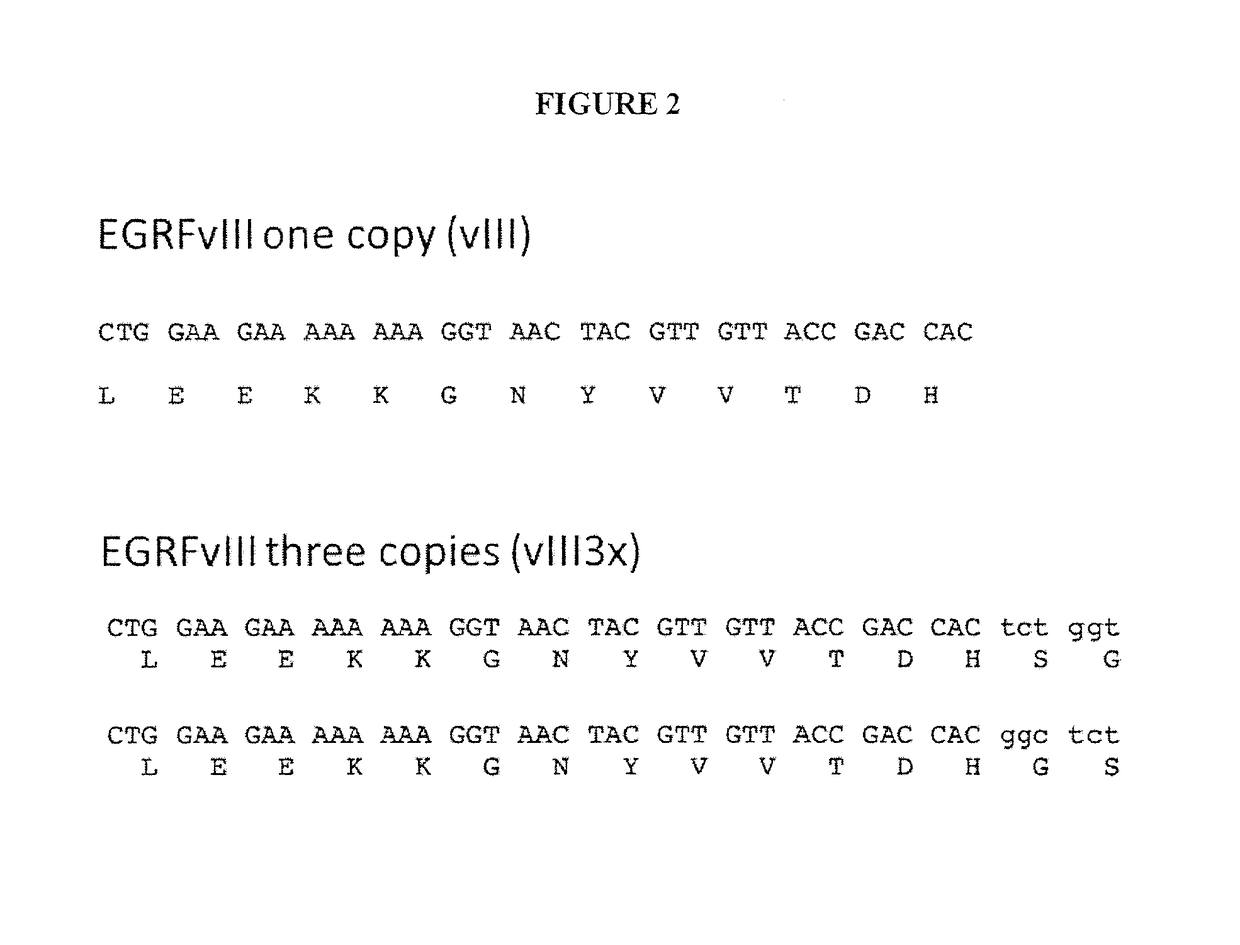 Immunogenic compositions containing bacterial outer membrane vesicles and therapeutic uses thereof