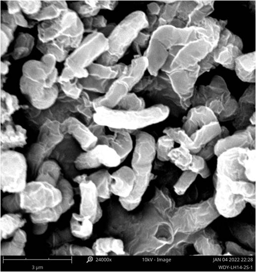 Bacillus with aerobic arsenic methylation and volatilization functions and application thereof