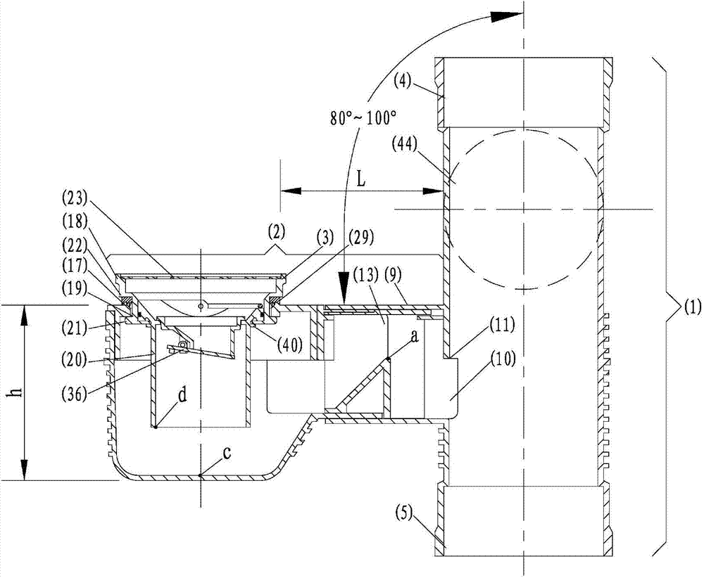 Building dilatation-free type drainage gathering device